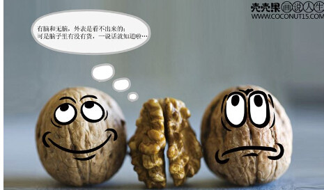 加盟壳壳果