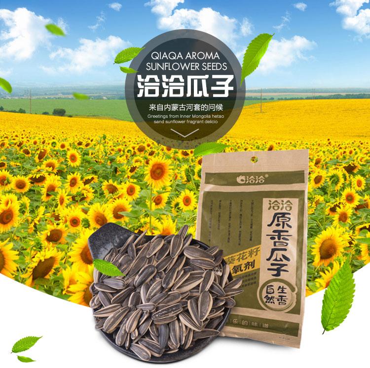 洽洽瓜子加盟