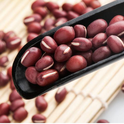 乐食麦有机健康食品