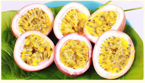 百草世家美食 百草世家美食