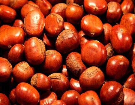 刘二贡栗食品 刘二贡栗食品
