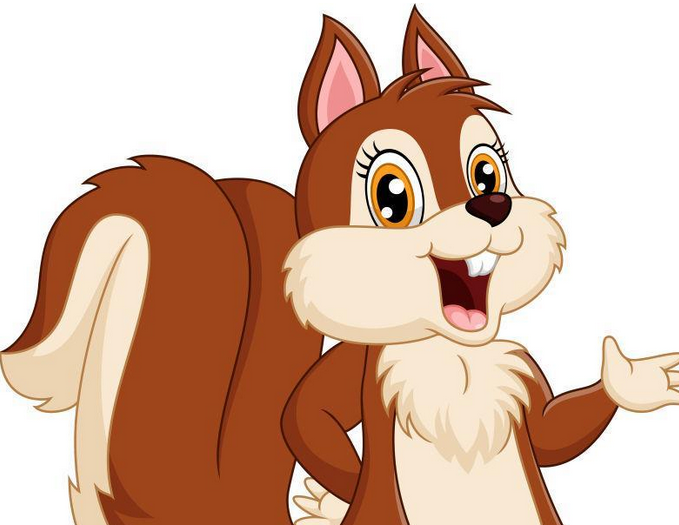 松鼠司令 松鼠司令