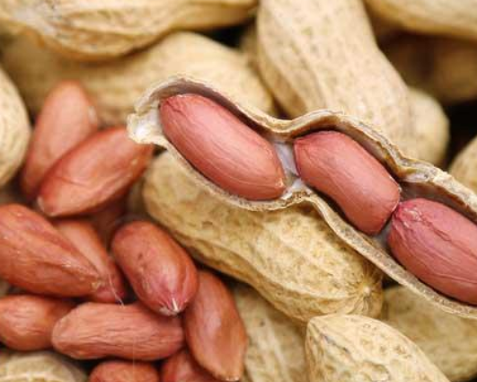 宏源花生 宏源花生