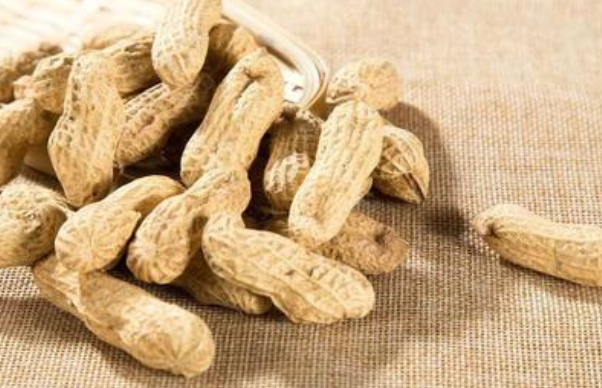 丰泰花生 丰泰花生