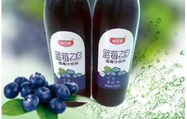 蓝莓之约休闲食品 蓝莓之约休闲食品