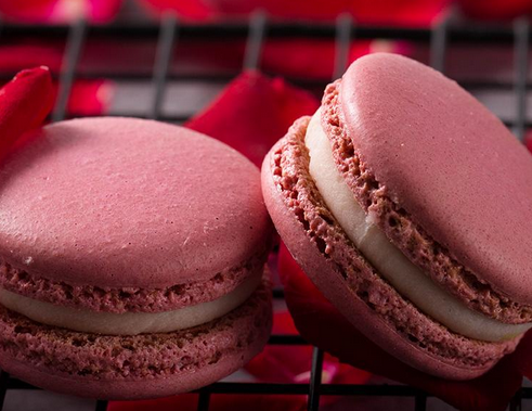 天使马卡龙 天使马卡龙