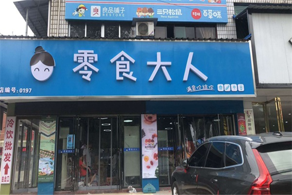 零食大人零食 零食大人零食